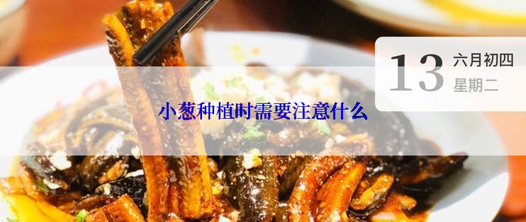 小葱种植时需要注意什么