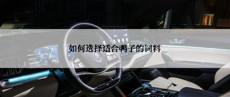 如何选择适合鸭子的饲料