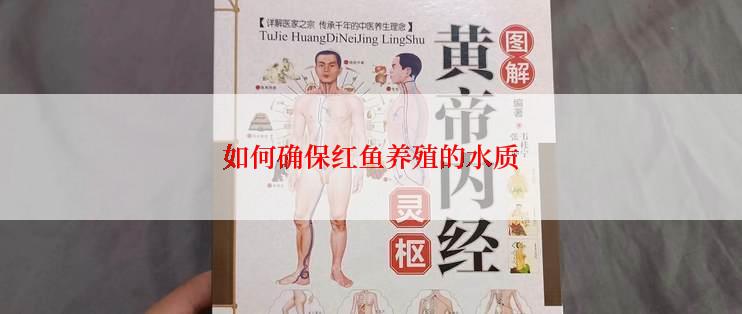如何确保红鱼养殖的水质