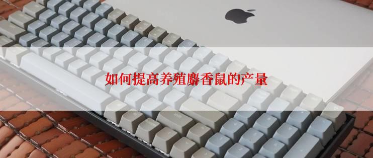 如何提高养殖麝香鼠的产量