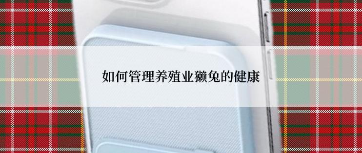 如何管理养殖业獭兔的健康