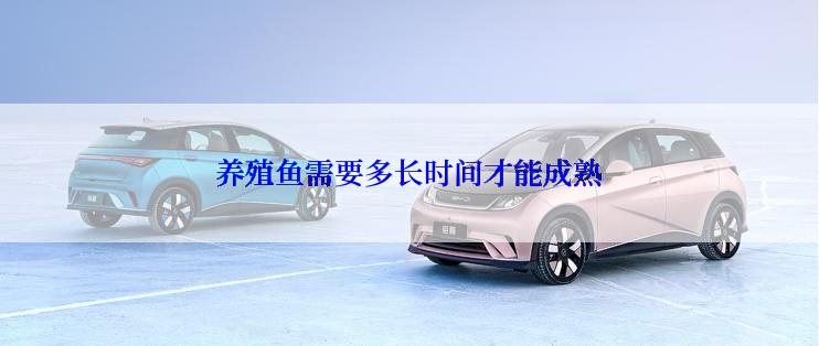 养殖鱼需要多长时间才能成熟