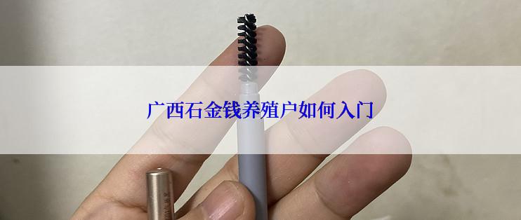 广西石金钱养殖户如何入门