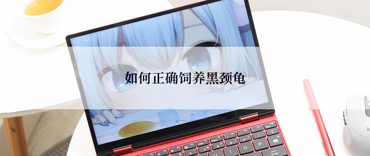 如何正确饲养黑颈龟