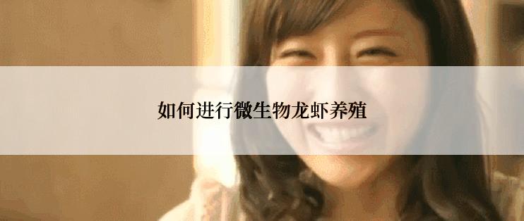 如何进行微生物龙虾养殖