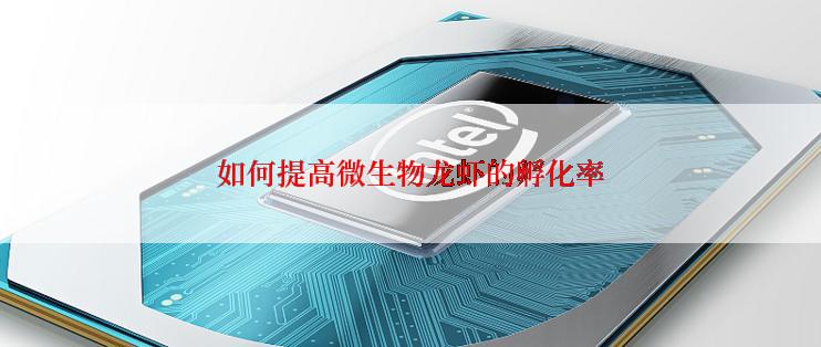 如何提高微生物龙虾的孵化率