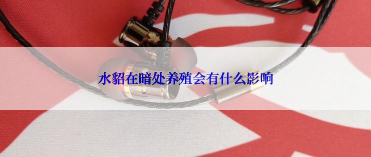 水貂在暗处养殖会有什么影响