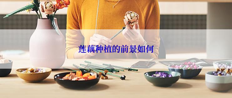 莲藕种植的前景如何
