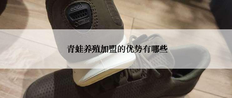  青蛙养殖加盟的优势有哪些