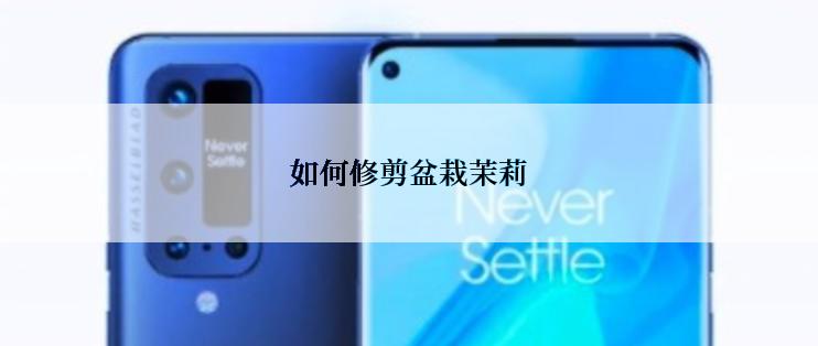 如何修剪盆栽茉莉