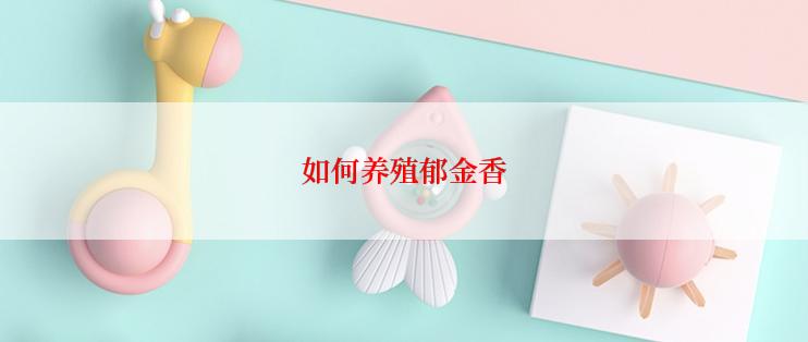 如何养殖郁金香