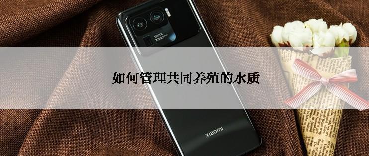  如何管理共同养殖的水质