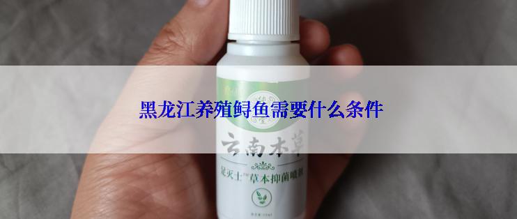  黑龙江养殖鲟鱼需要什么条件
