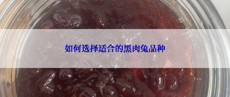 如何选择适合的黑肉兔品种