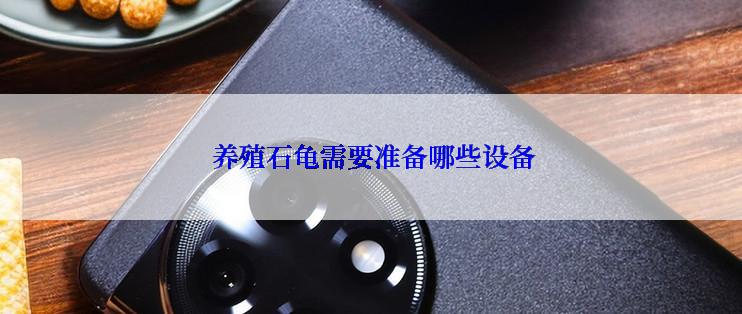  养殖石龟需要准备哪些设备