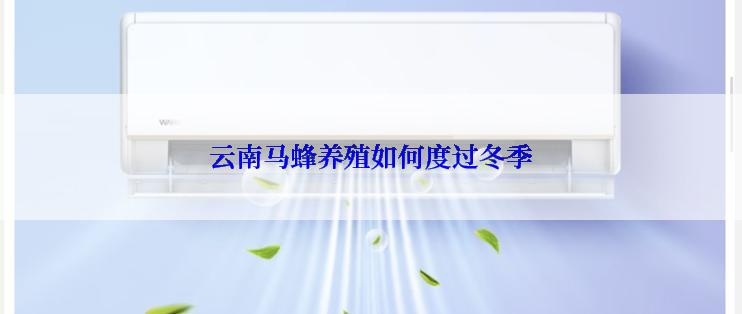 云南马蜂养殖如何度过冬季