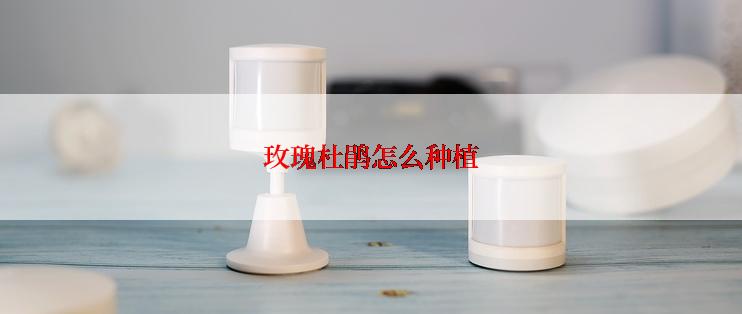 玫瑰杜鹃怎么种植