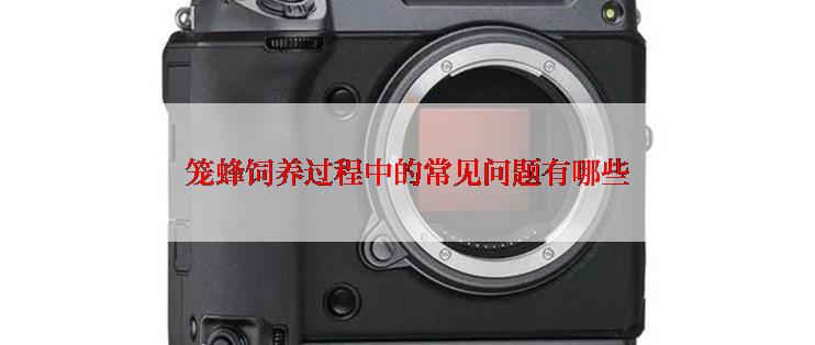 笼蜂饲养过程中的常见问题有哪些