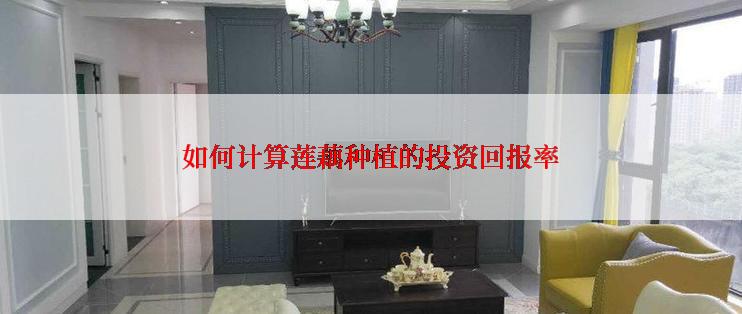 如何计算莲藕种植的投资回报率