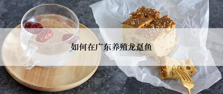 如何在广东养殖龙趸鱼