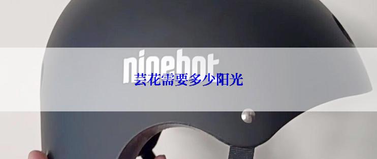芸花需要多少阳光