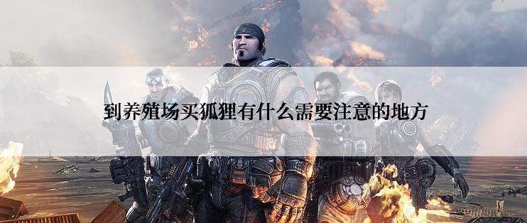  到养殖场买狐狸有什么需要注意的地方