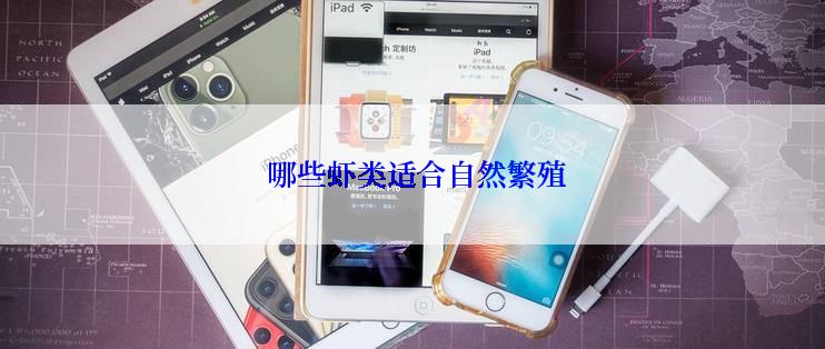  哪些虾类适合自然繁殖