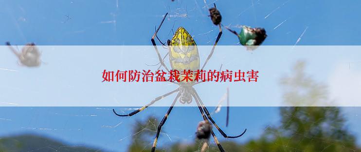 如何防治盆栽茉莉的病虫害