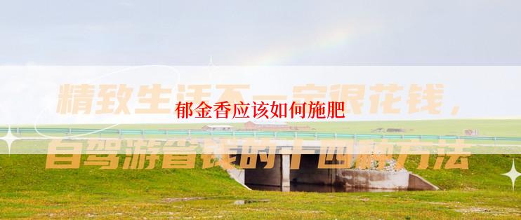 郁金香应该如何施肥