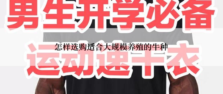 怎样选购适合大规模养殖的牛种