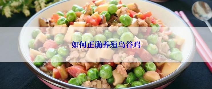 如何正确养殖乌谷鸡