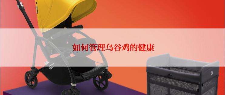 如何管理乌谷鸡的健康