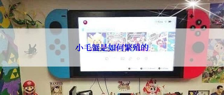 小毛蟹是如何繁殖的
