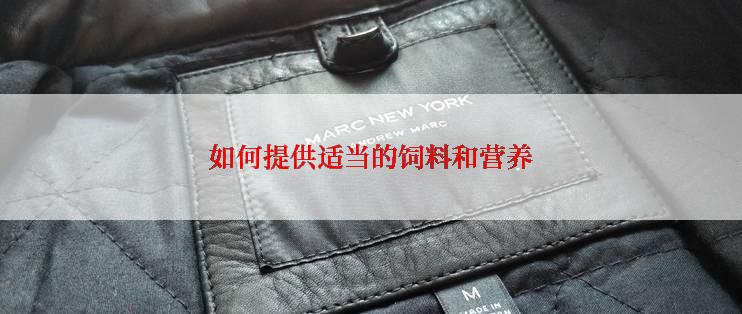 如何提供适当的饲料和营养