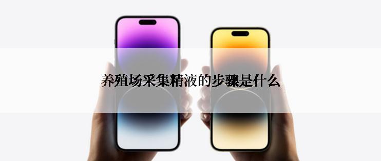 养殖场采集精液的步骤是什么