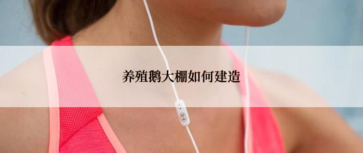 养殖鹅大棚如何建造