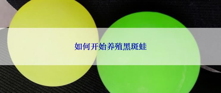 如何开始养殖黑斑蛙