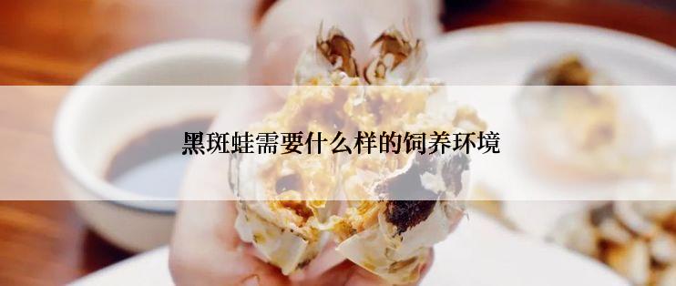  黑斑蛙需要什么样的饲养环境