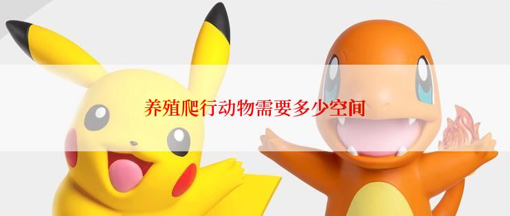 养殖爬行动物需要多少空间