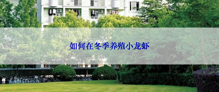 如何在冬季养殖小龙虾