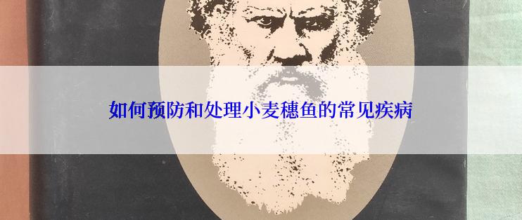如何预防和处理小麦穗鱼的常见疾病