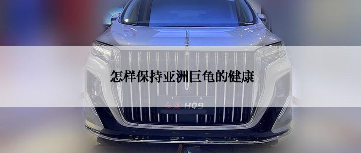  怎样保持亚洲巨龟的健康