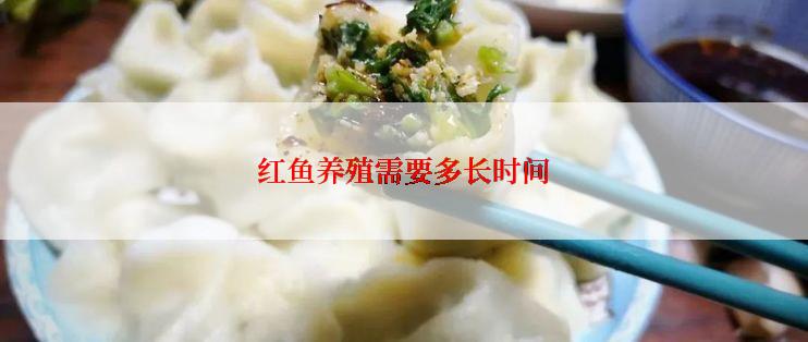 红鱼养殖需要多长时间