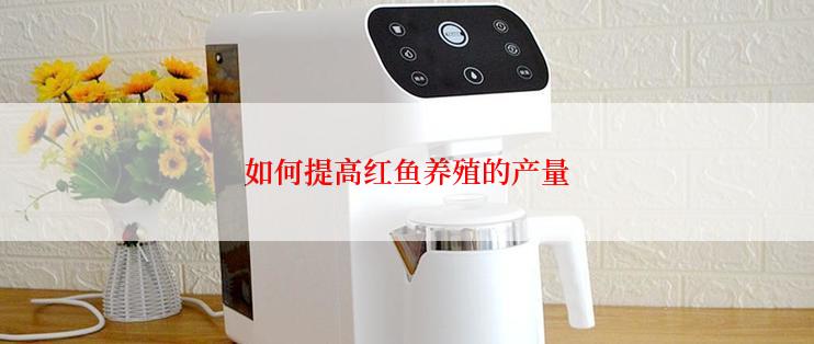 如何提高红鱼养殖的产量