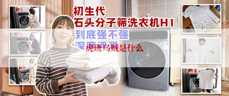 虎班乌贼是什么