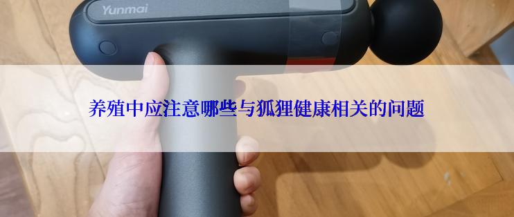 养殖中应注意哪些与狐狸健康相关的问题
