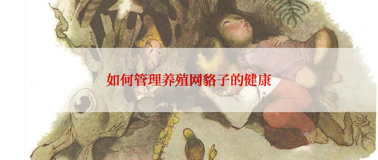 如何管理养殖网貉子的健康