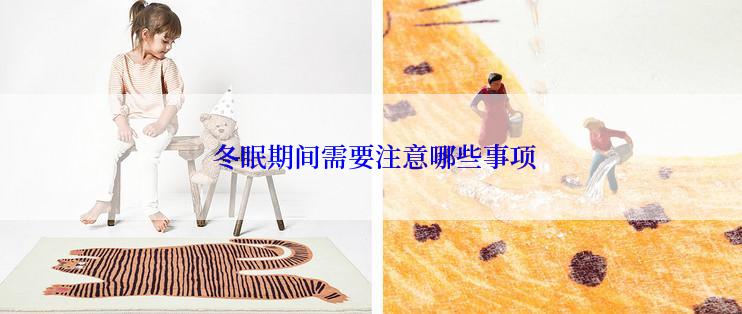  冬眠期间需要注意哪些事项