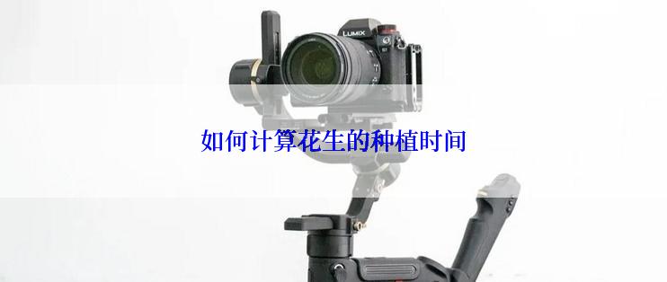 如何计算花生的种植时间