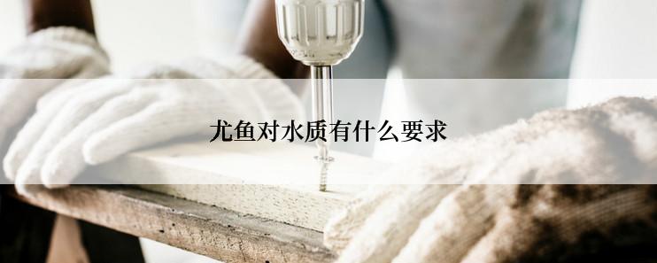 尤鱼对水质有什么要求